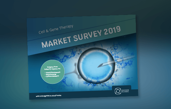 Market Survey Carousel