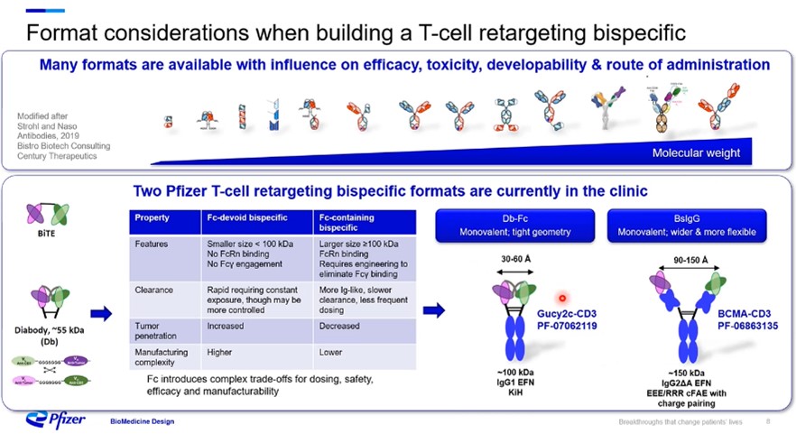 T Cell Redirection