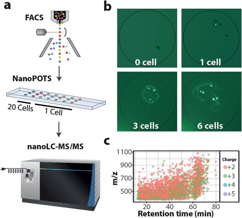 How to use NanoPOTS and FACS for Single Cell Proteomics 