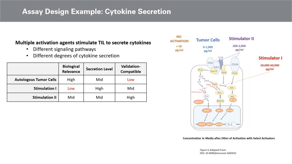 Cytokine Secretion for Potency Assays