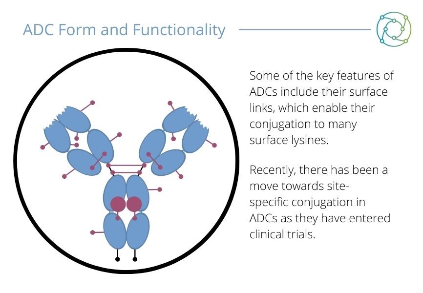 The form and function of antibody drug conjugates.